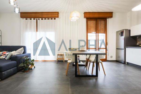 immagine annuncio 3 di 14