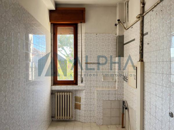 immagine annuncio 2 di 12