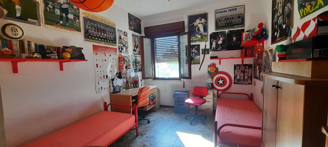 immagine annuncio 7 di 13