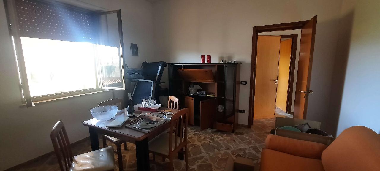 immagine annuncio 5 di 12