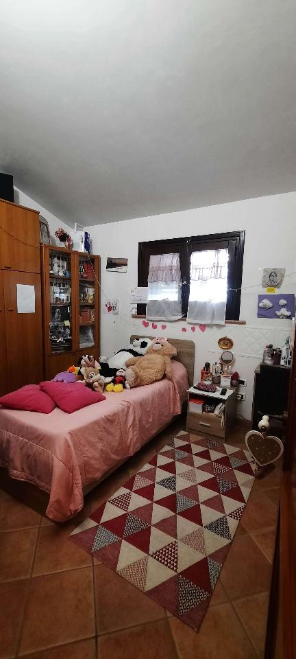 immagine annuncio 10 di 14