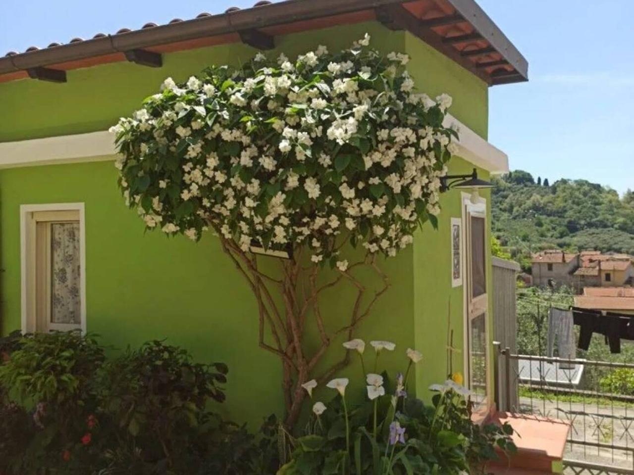 immagine annuncio 2 di 11