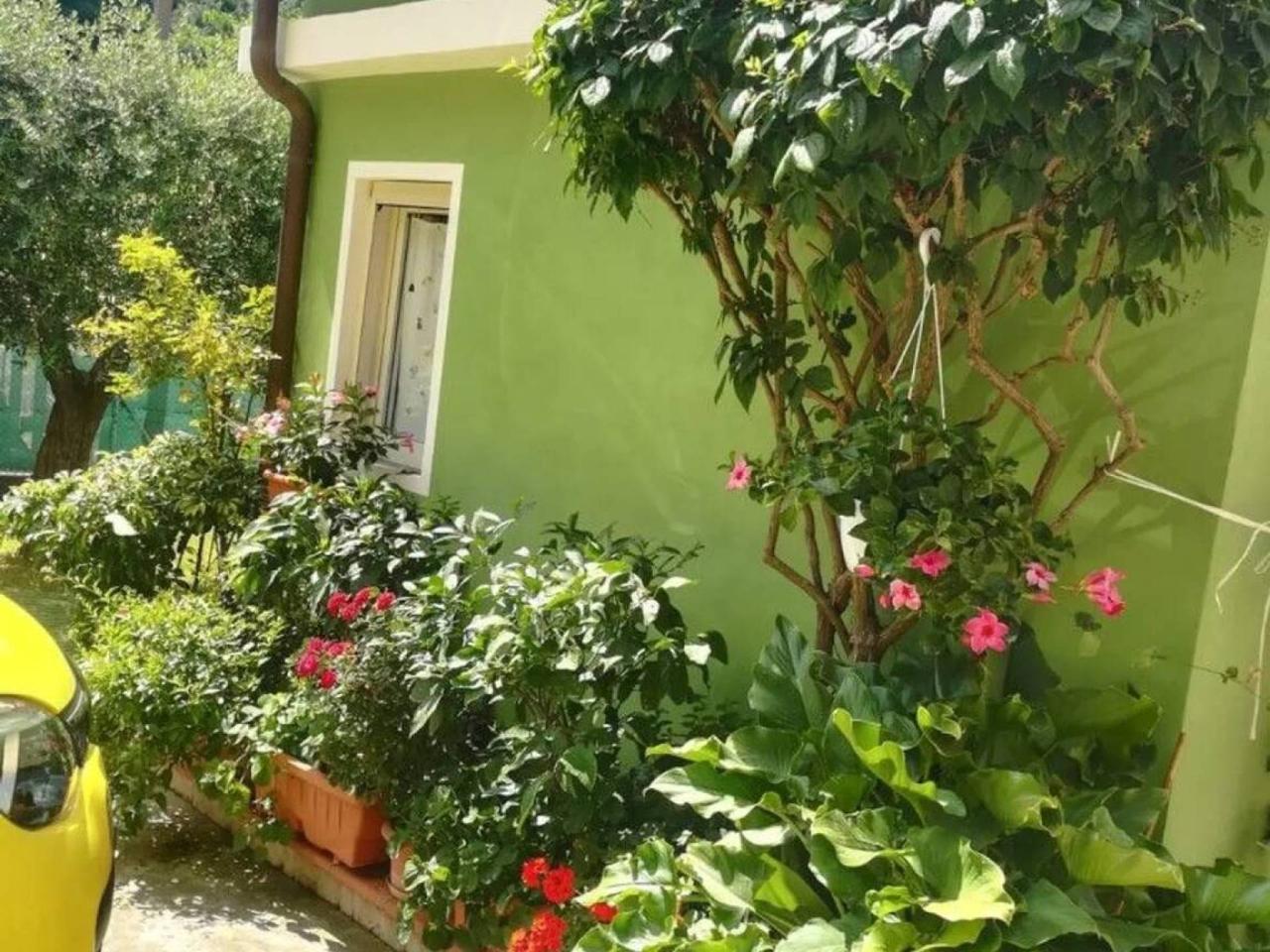 immagine annuncio 3 di 11