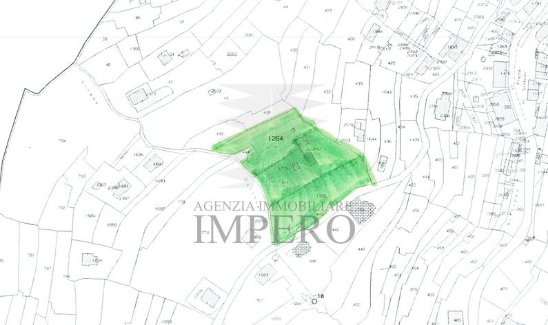 immagine annuncio 6 di 7