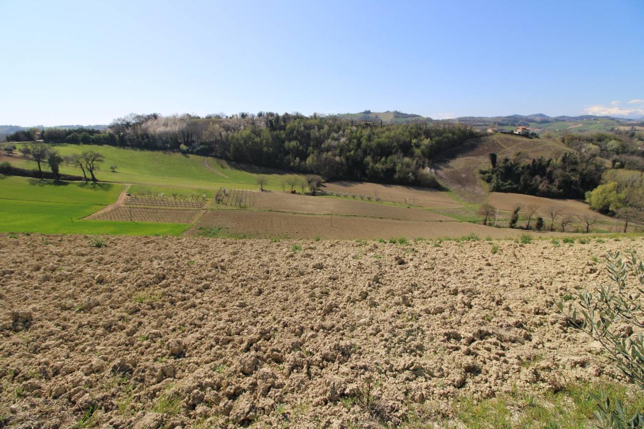 Terreno agricolo in vendita a Montottone
