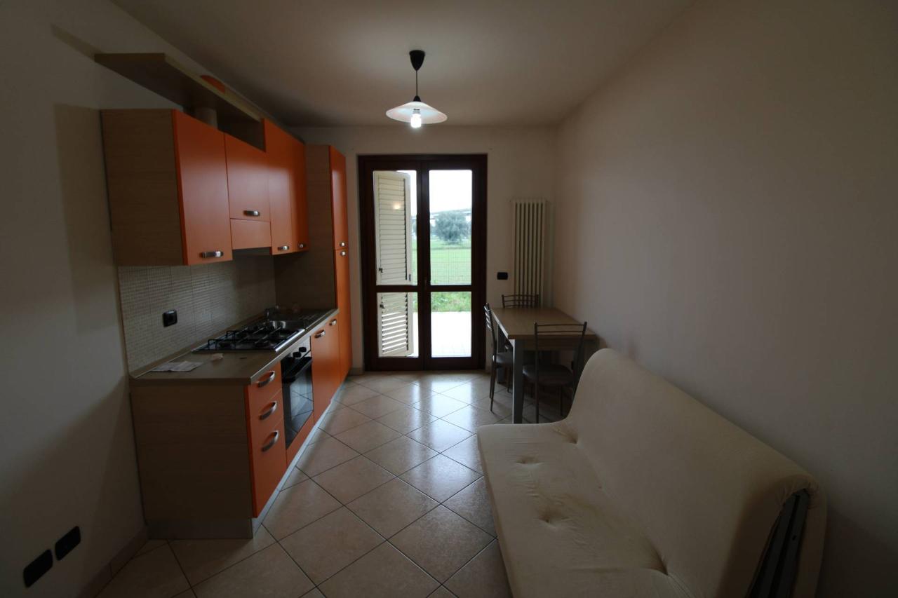 immagine annuncio 3 di 13