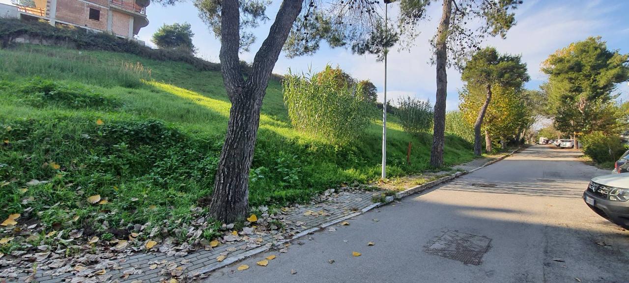 immagine annuncio 7 di 8