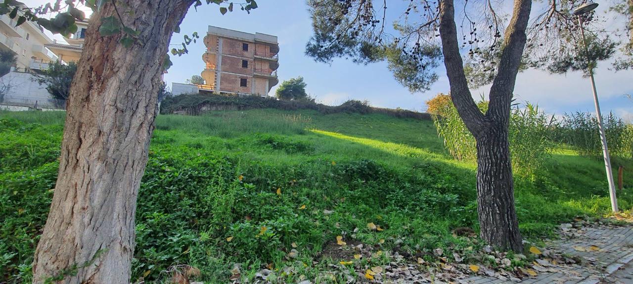 immagine annuncio 5 di 8