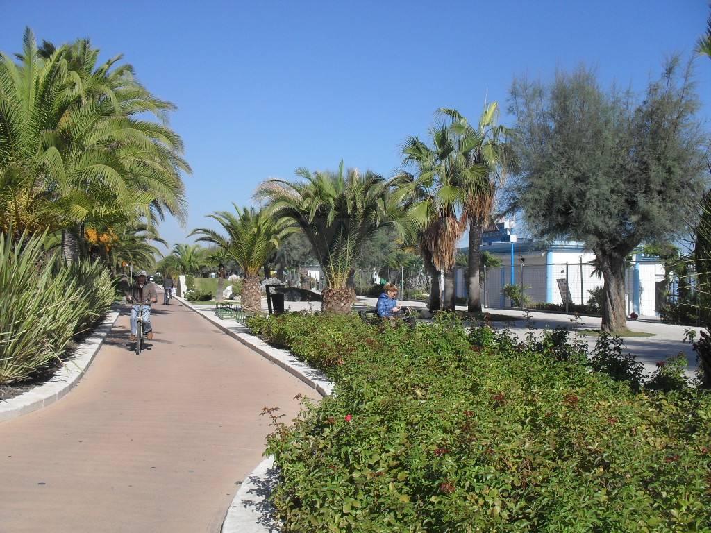 immagine annuncio 8 di 9