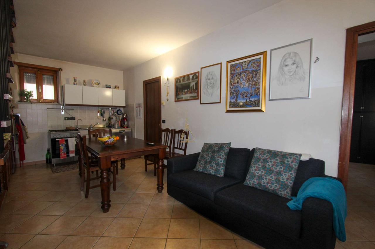 immagine annuncio 3 di 14