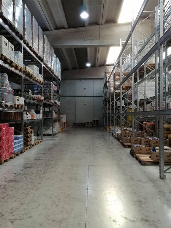 Capannone in , Monteforte Irpino, {3} - Foto 1
