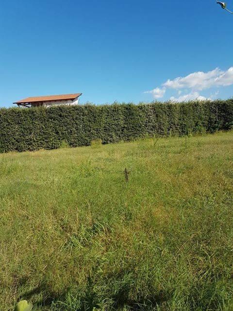immagine annuncio 3 di 8