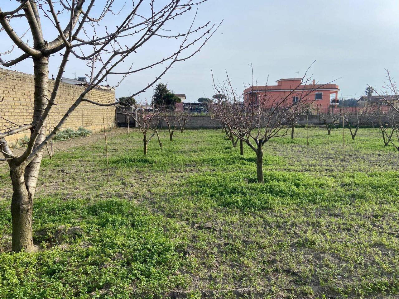 immagine annuncio 2 di 6