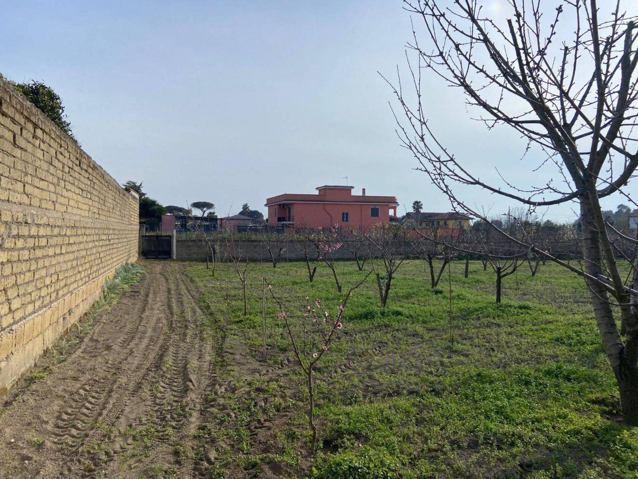 immagine annuncio 4 di 6