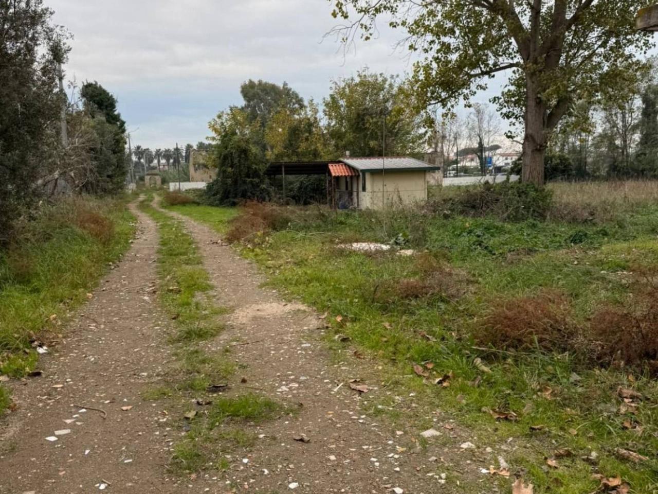 immagine annuncio 8 di 12