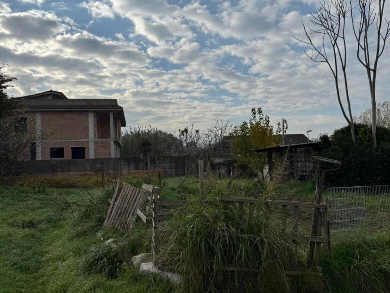 immagine annuncio 2 di 6