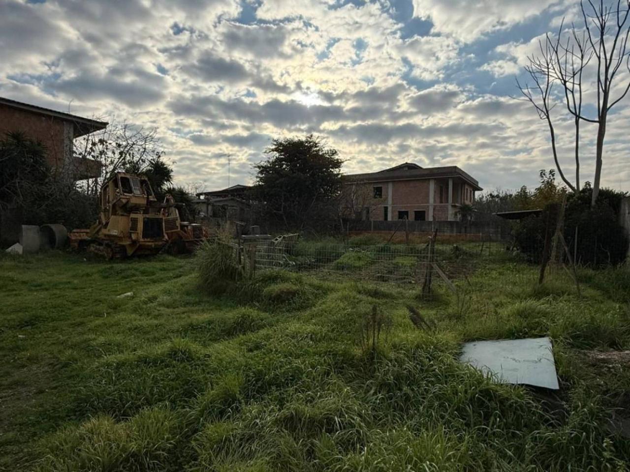 immagine annuncio 5 di 6