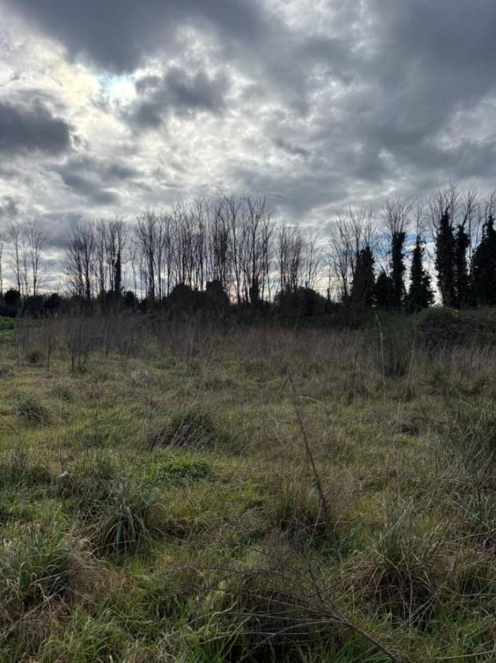 immagine annuncio 8 di 12