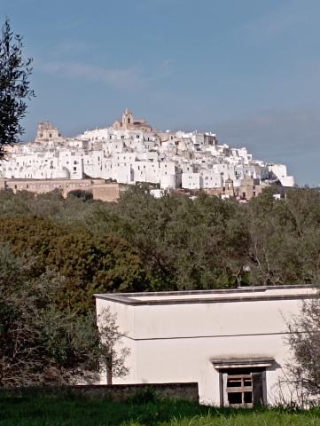 Villa in C.da Rosara, Ostuni - Foto 1