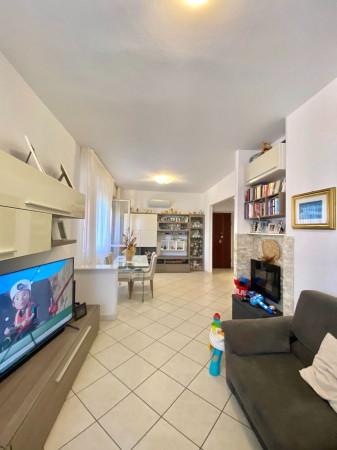 immagine annuncio 1 di 8