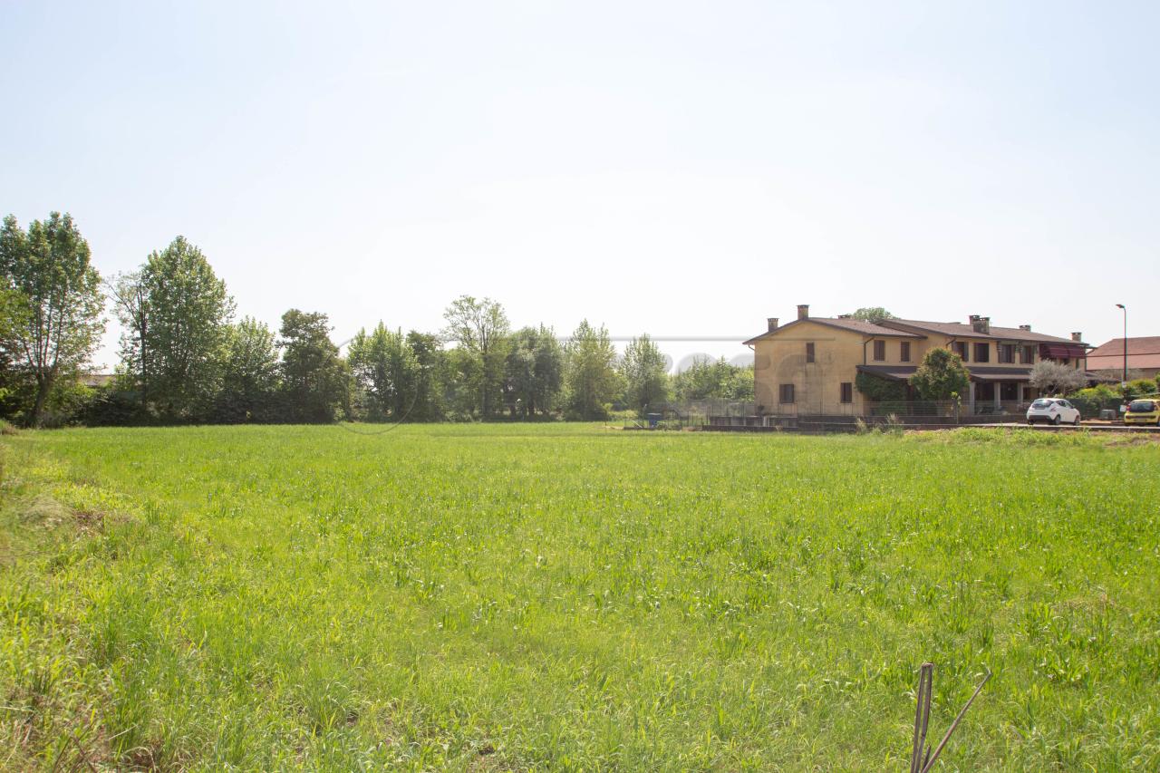 immagine annuncio 5 di 6