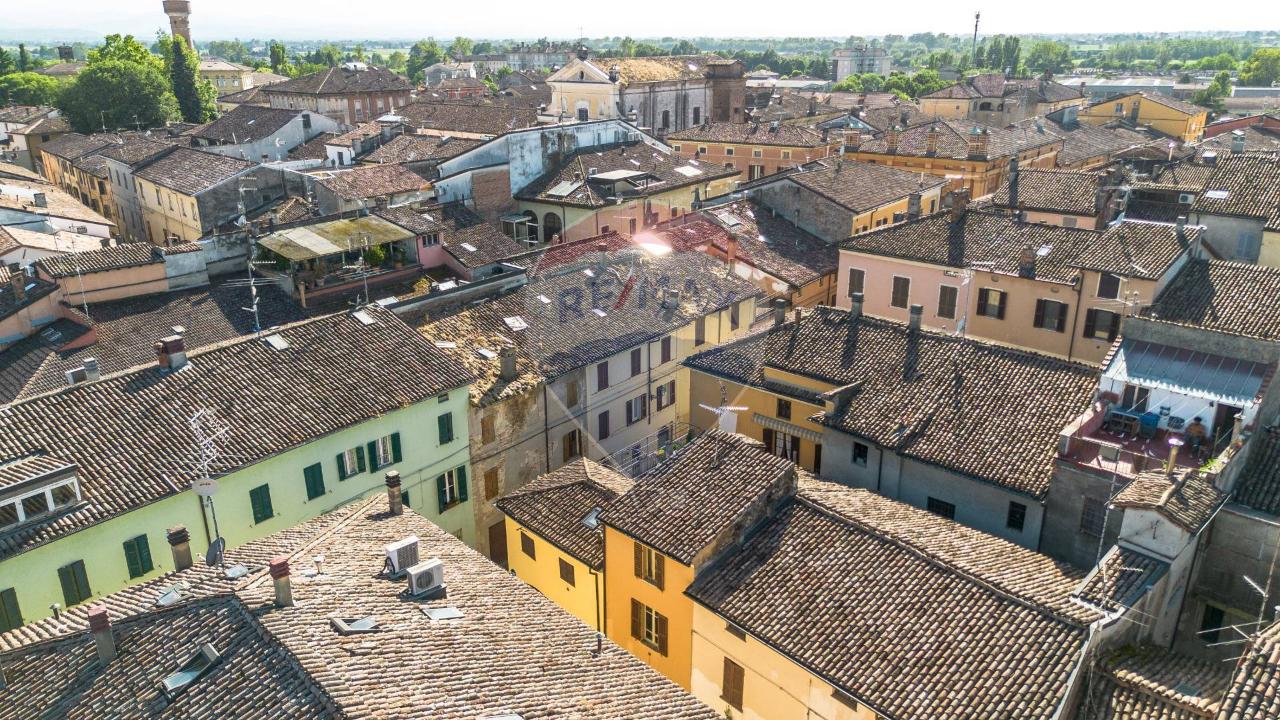 immagine annuncio 4 di 14