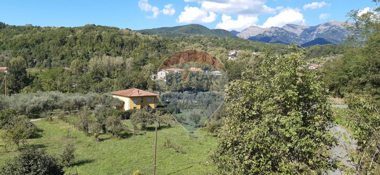 immagine annuncio 10 di 13