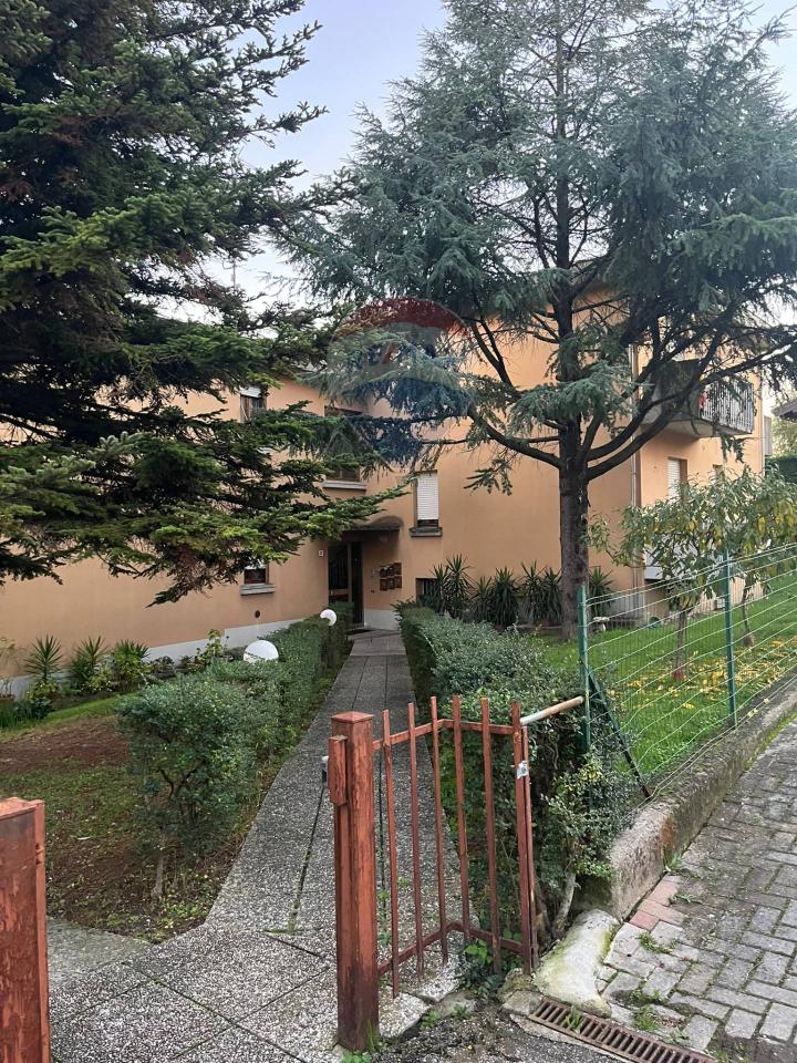 immagine annuncio 5 di 6