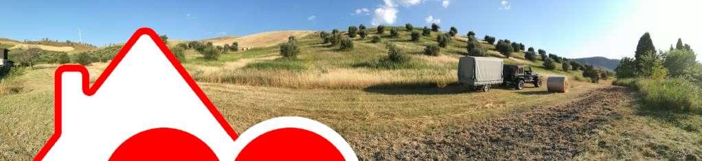 immagine annuncio 2 di 3