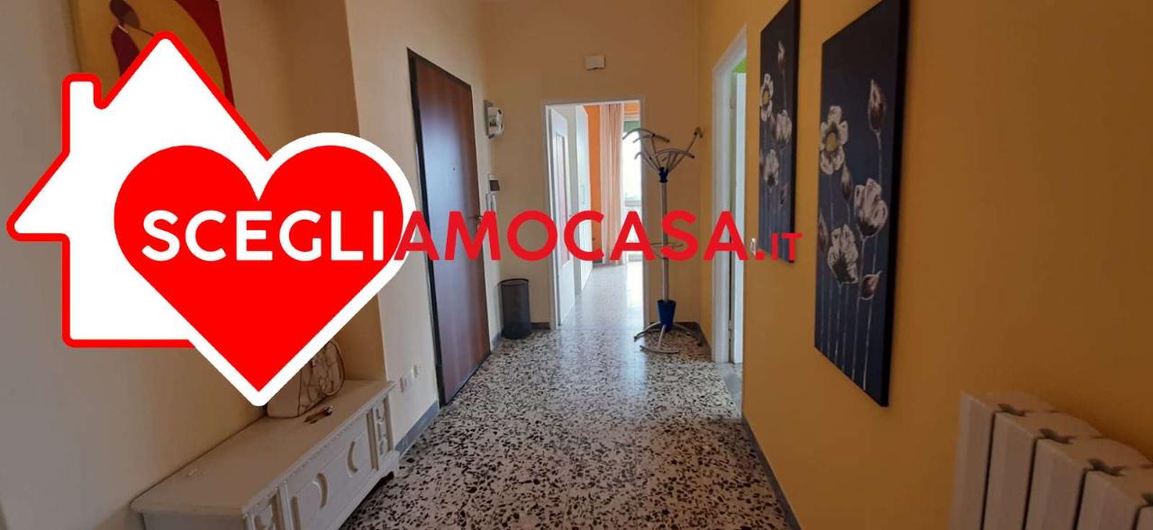 immagine annuncio 5 di 8