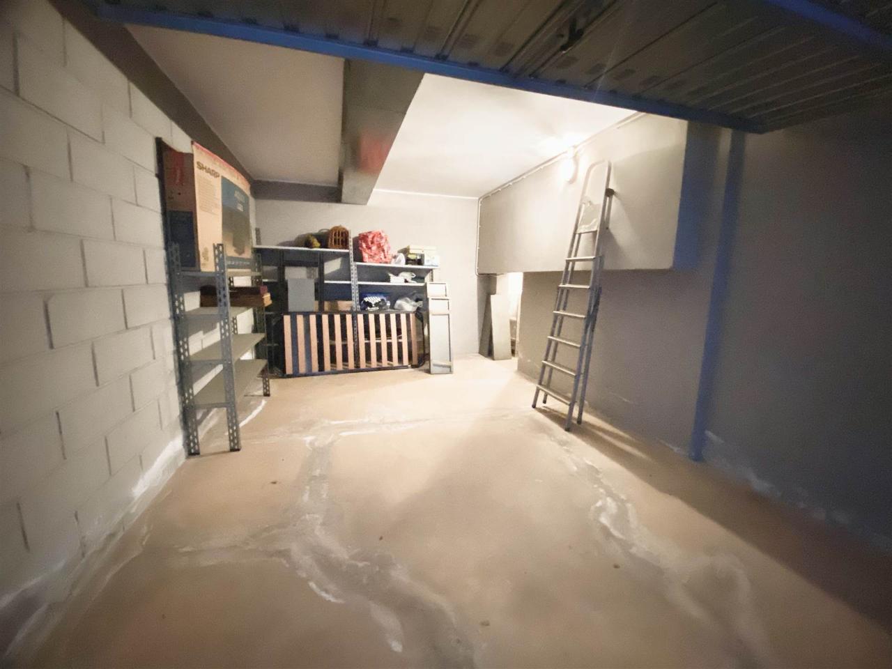 immagine annuncio 12 di 13