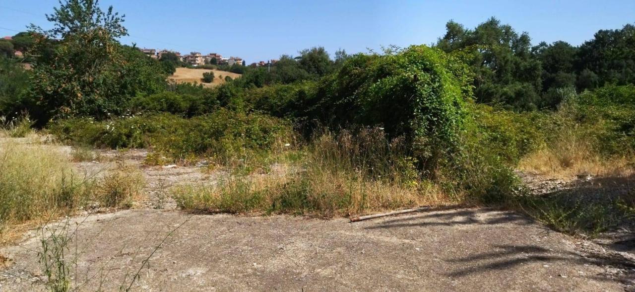 immagine annuncio 5 di 14