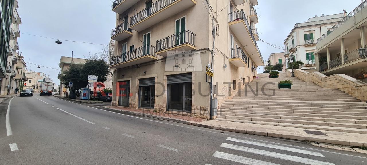 Negozio in Ss172 73, Locorotondo, {3} - Foto 2