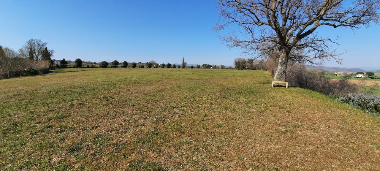 Azienda agricola in , Magliano In Toscana, {3} - Foto 2