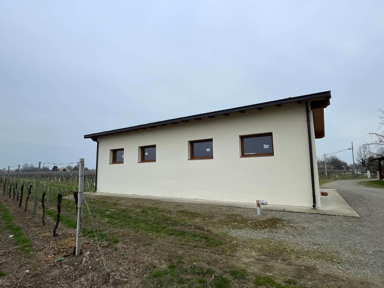 immagine annuncio 6 di 9