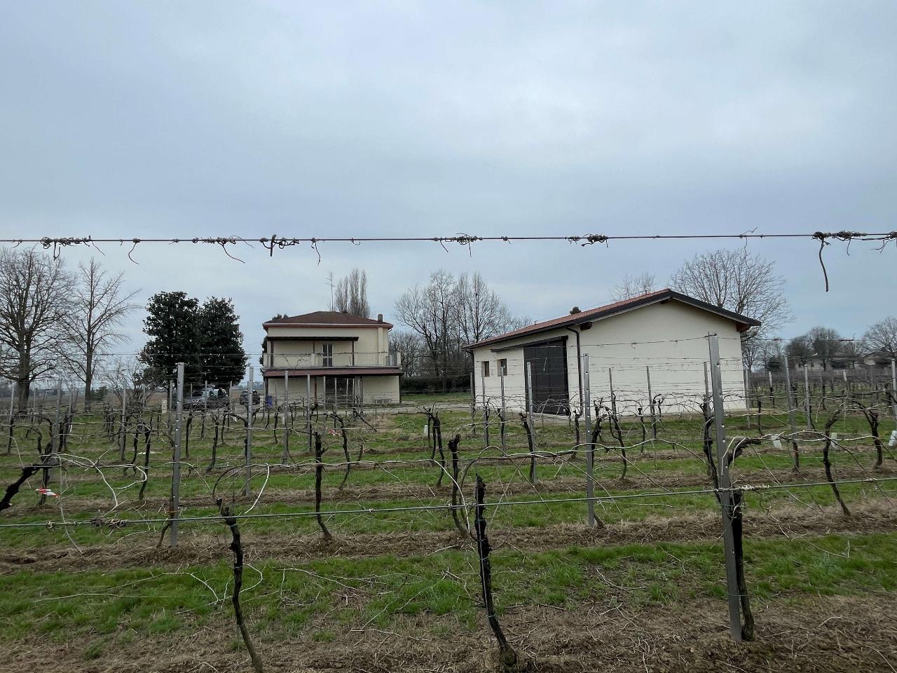 immagine annuncio 4 di 9