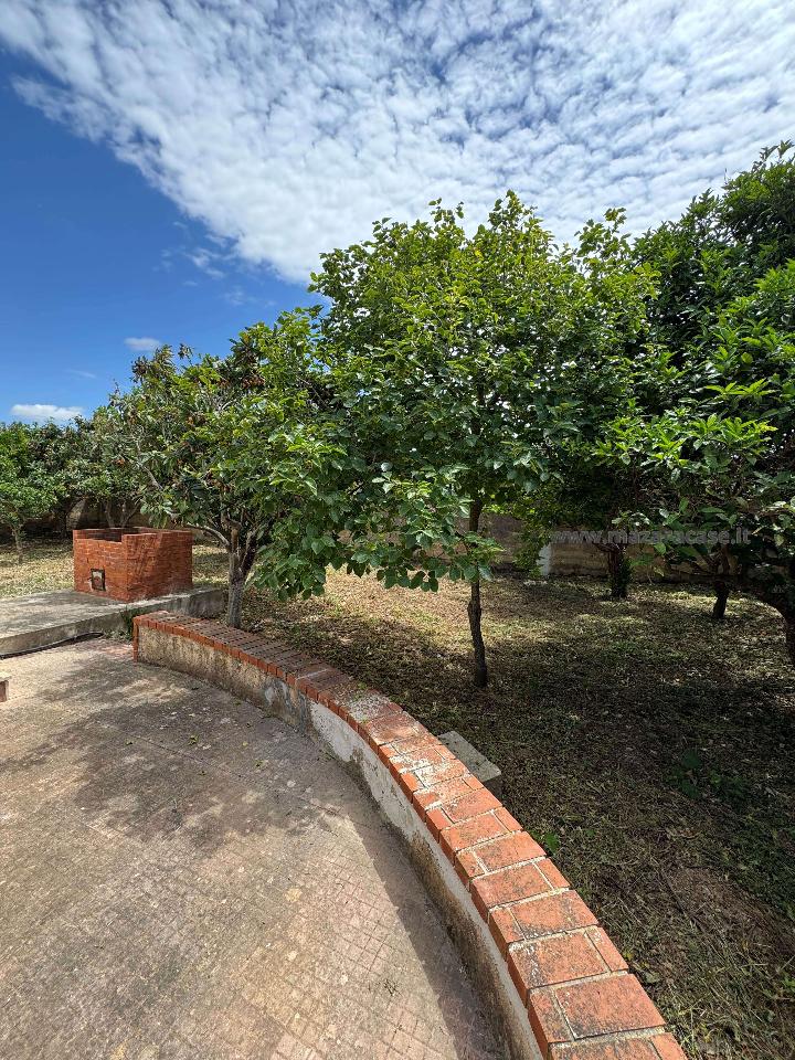 immagine annuncio 2 di 6