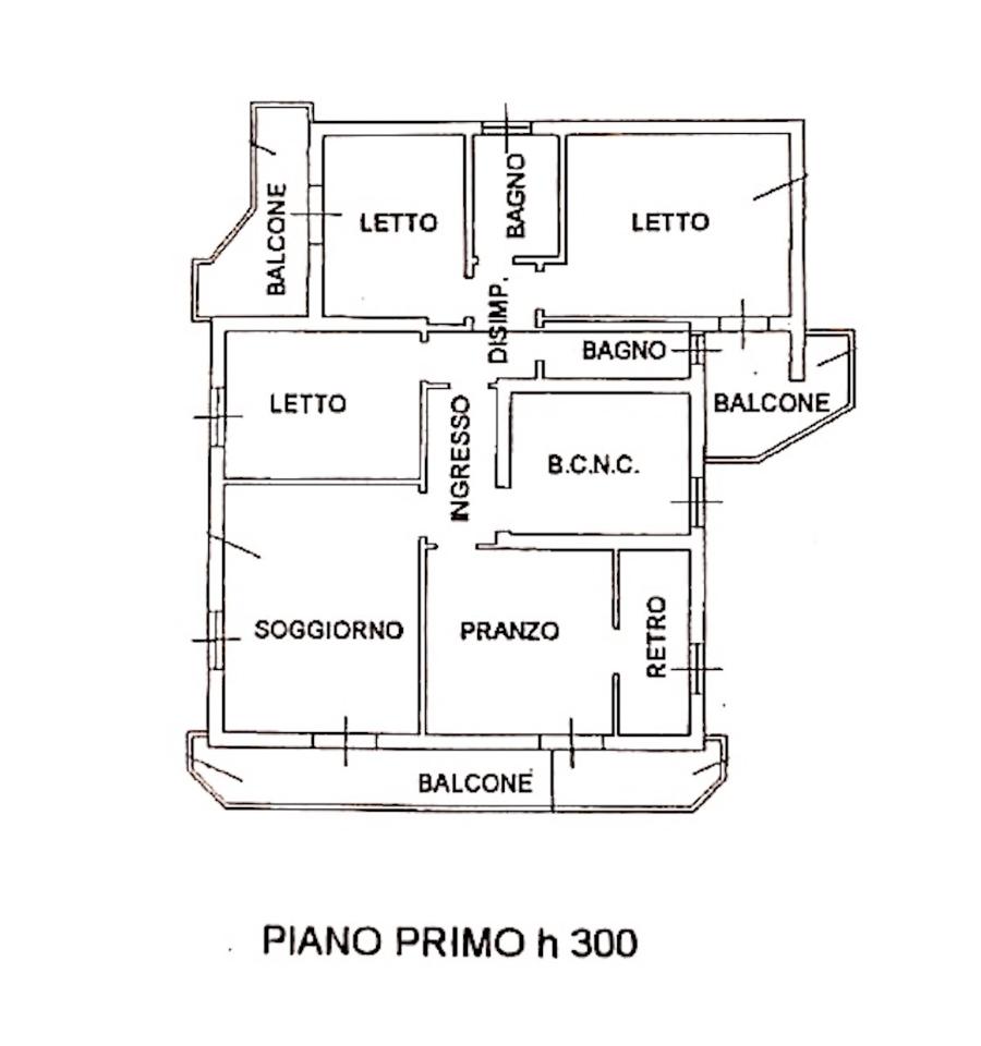 immagine annuncio 11 di 12