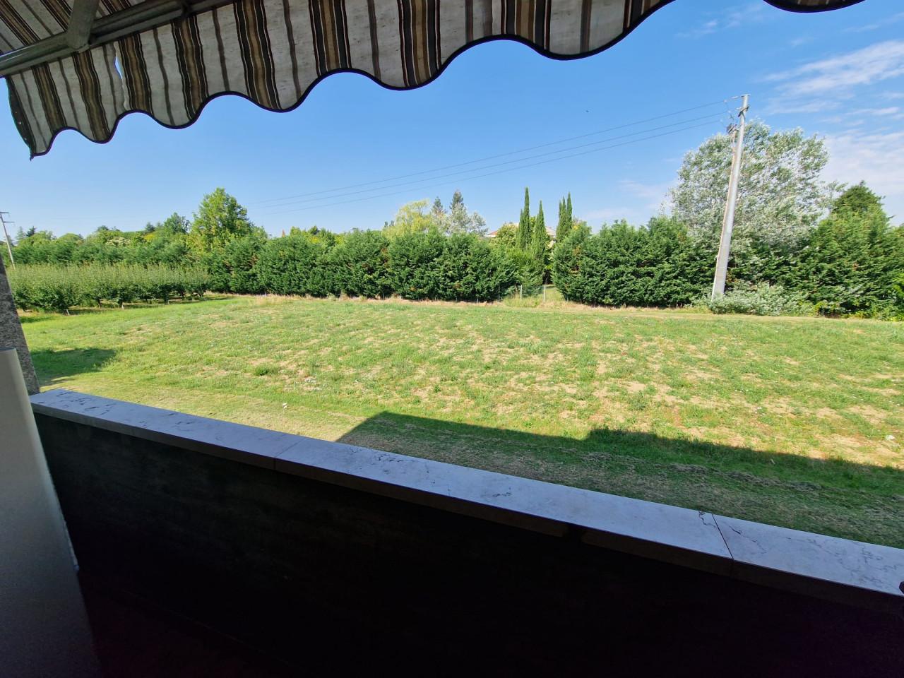 immagine annuncio 4 di 9