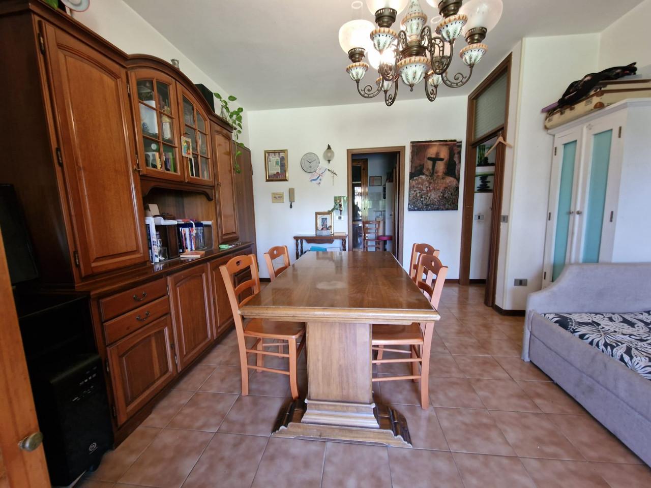 immagine annuncio 2 di 9