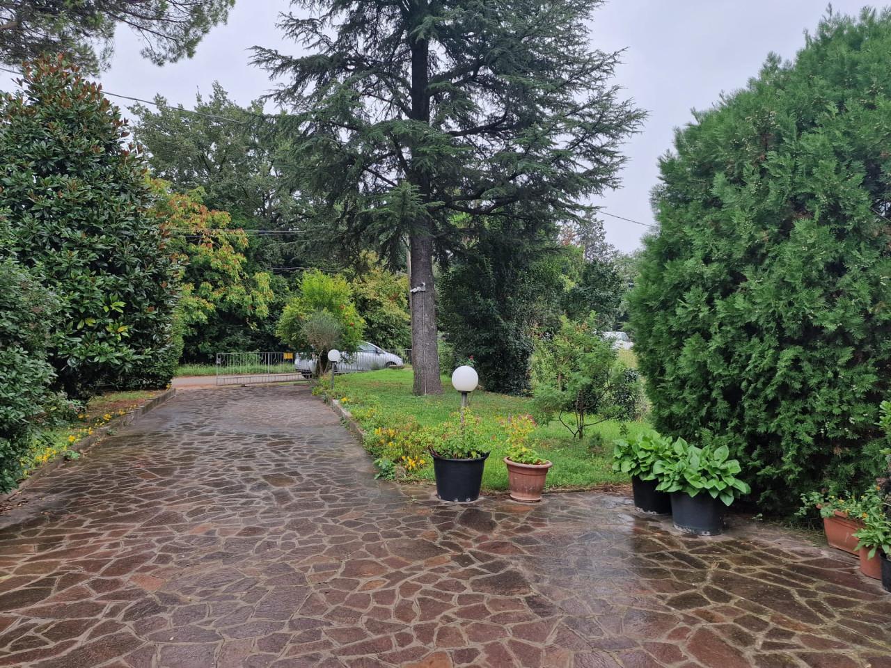 immagine annuncio 2 di 12