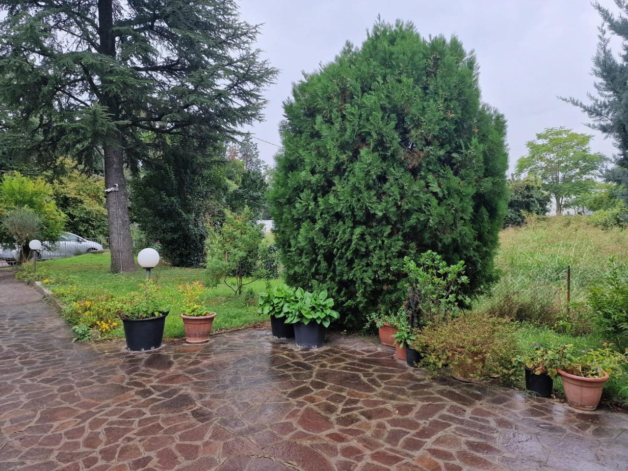 immagine annuncio 9 di 12