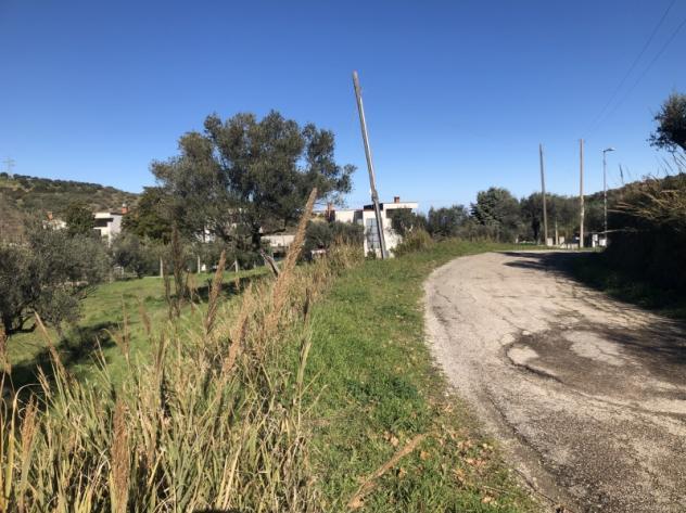 immagine annuncio 5 di 6