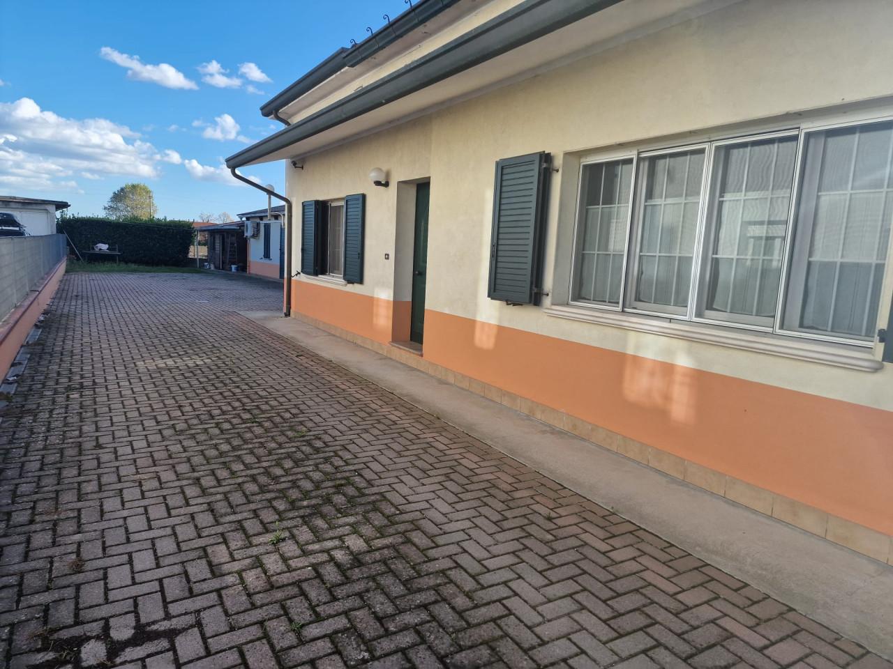 immagine annuncio 7 di 11