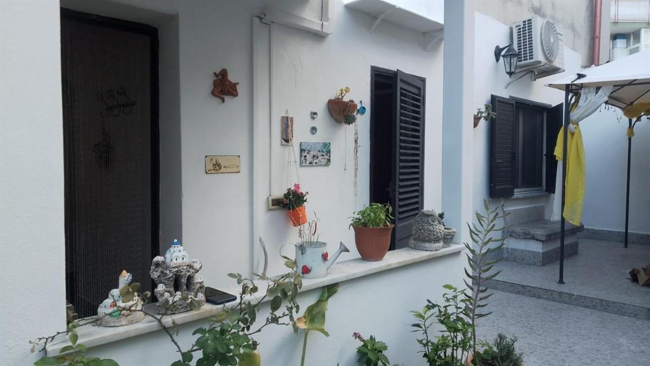 immagine annuncio 3 di 14