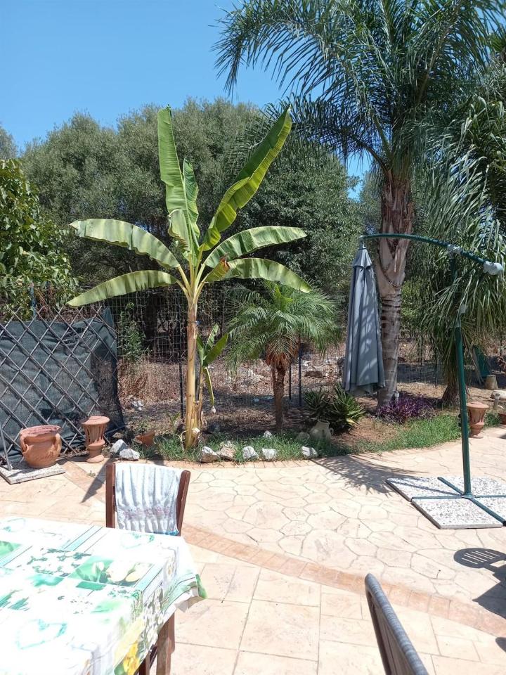 immagine annuncio 3 di 11