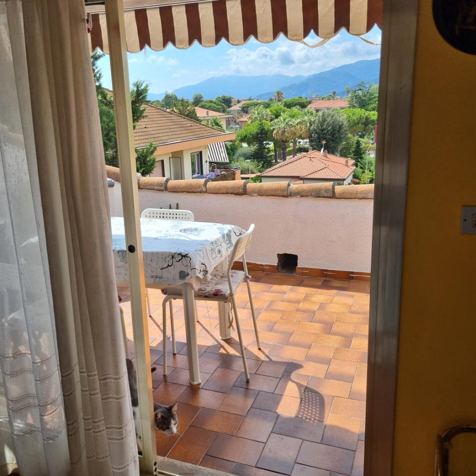immagine annuncio 9 di 12