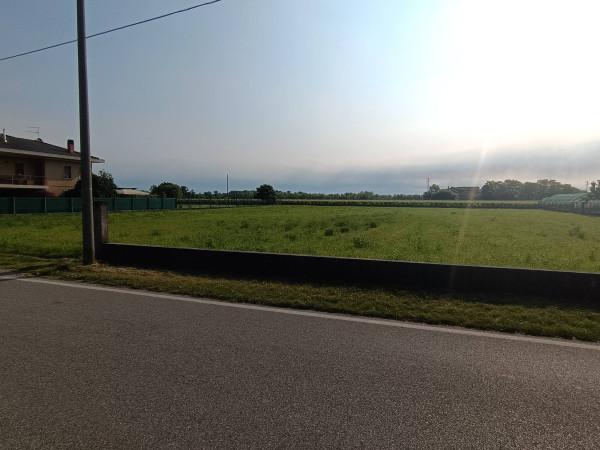 immagine annuncio 7 di 9