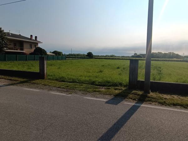 immagine annuncio 4 di 9