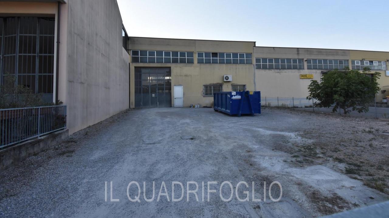 Capannone in , Cesena, {3} - Foto 2